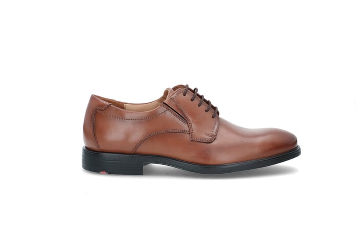 LLOYD 7794 Cognac LLOYD