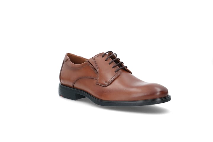 LLOYD 7794 Cognac LLOYD