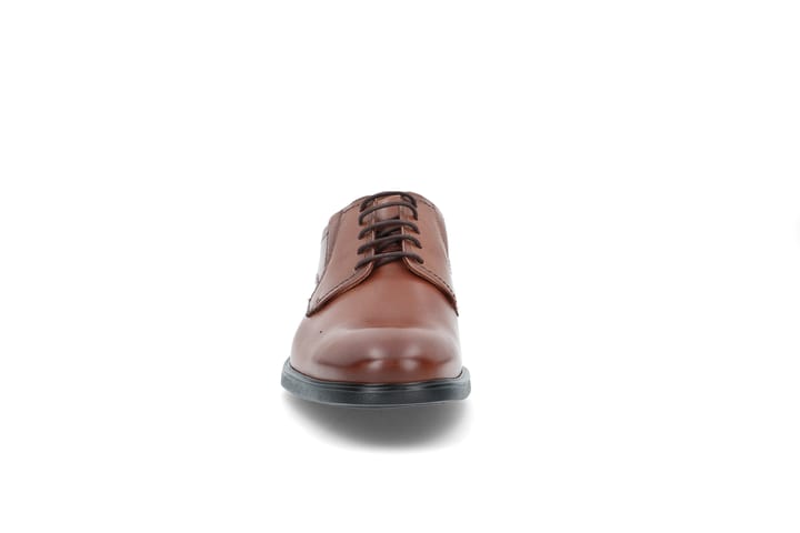 LLOYD 7794 Cognac LLOYD