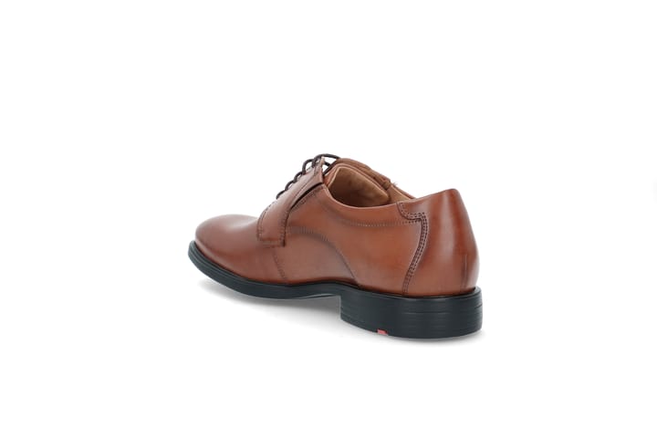 LLOYD 7794 Cognac LLOYD