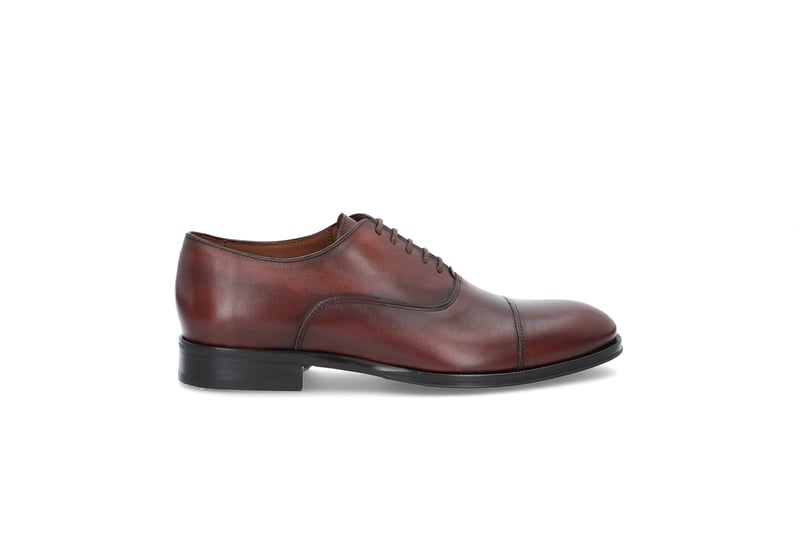 Lenox oxford LOTTUSSE