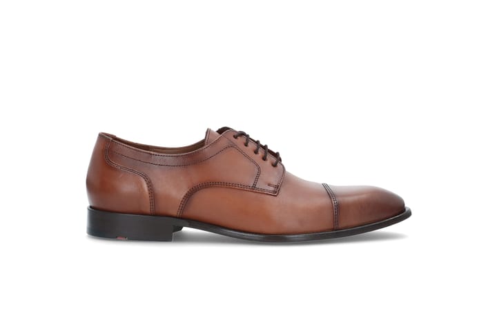 LLOYD 0126 Cognac LLOYD