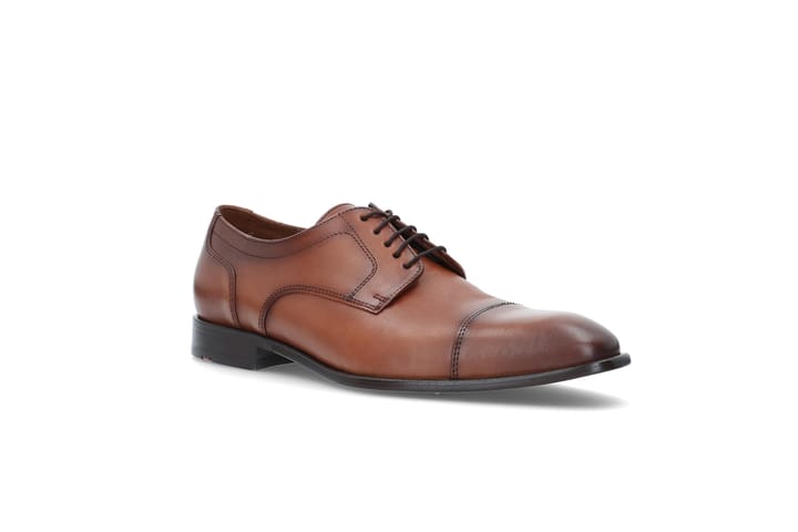 LLOYD 0126 Cognac LLOYD