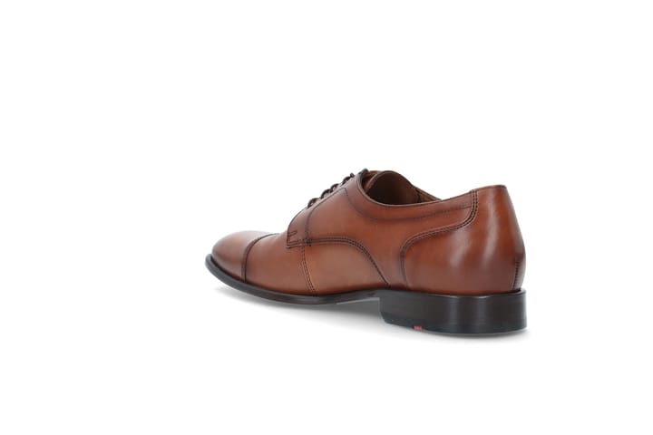 LLOYD 0126 Cognac LLOYD