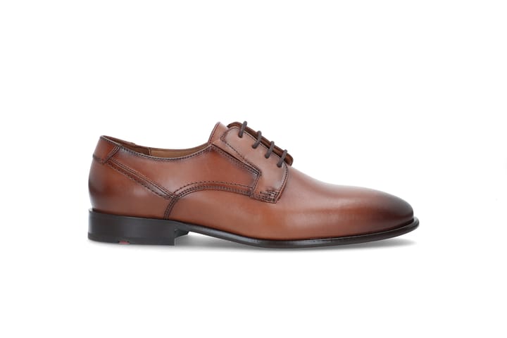 LLOYD 0126 Cognac LLOYD