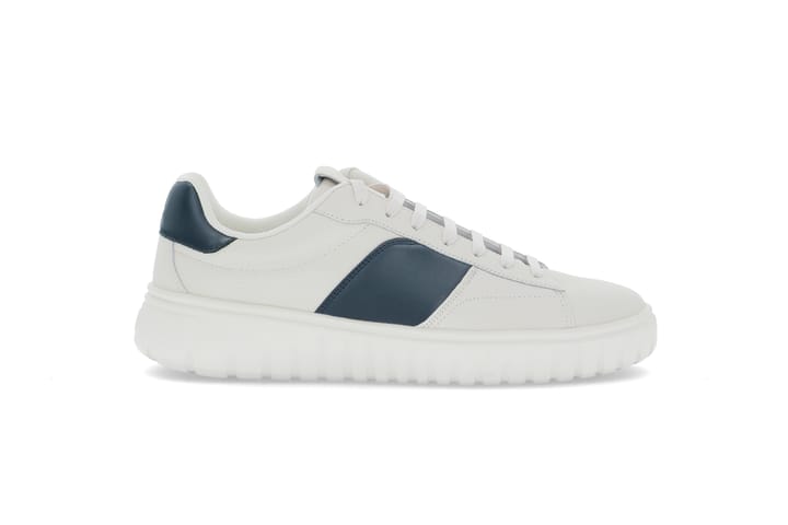 LLOYD 0276 Offwhite/Navy