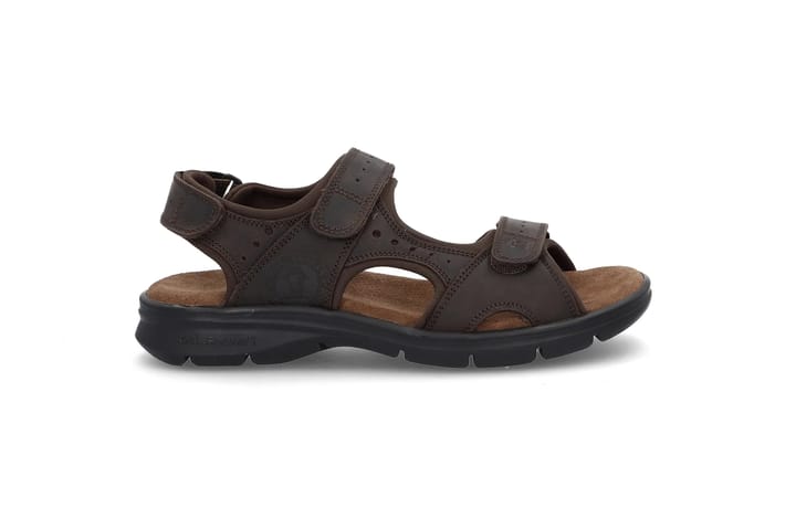 PJ 7003 Marrón / Brown PANAMA JACK