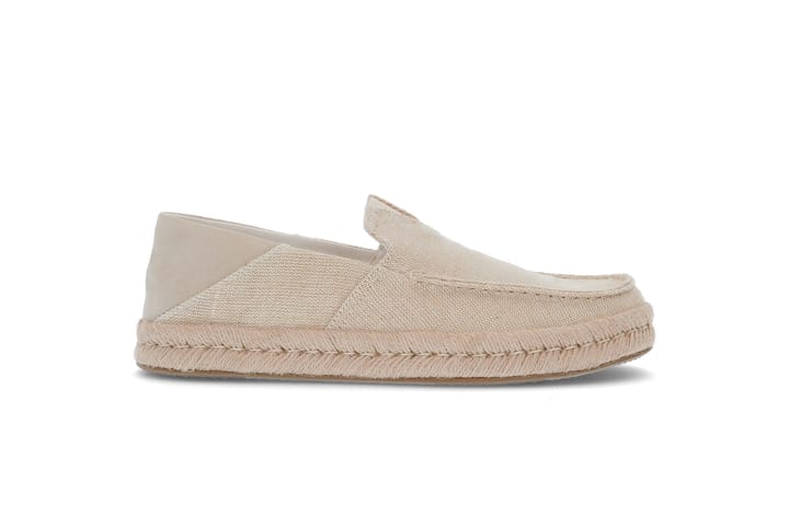 Alonso TOMS