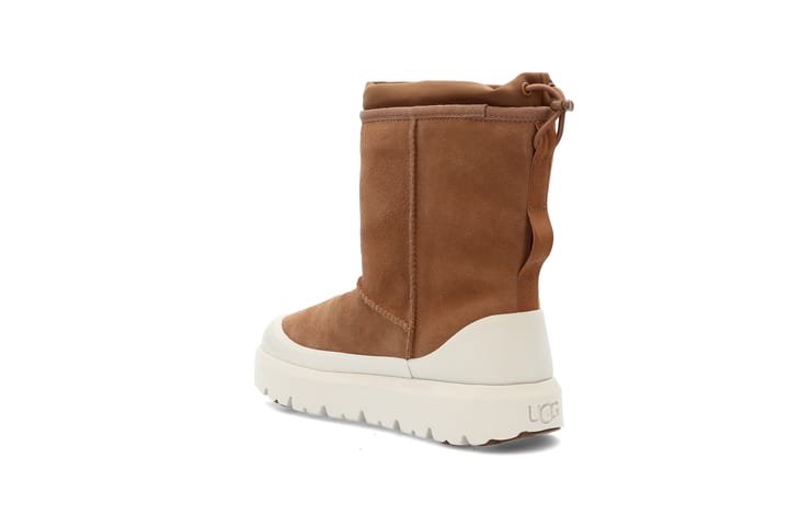 UGG 6334 Chestnut/Whitec UGG