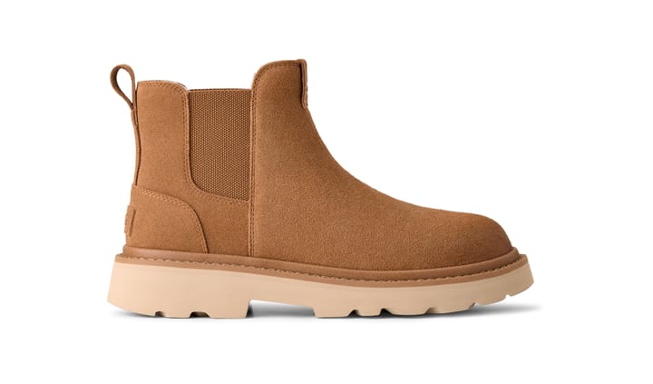 UGG 2225 Molasses UGG