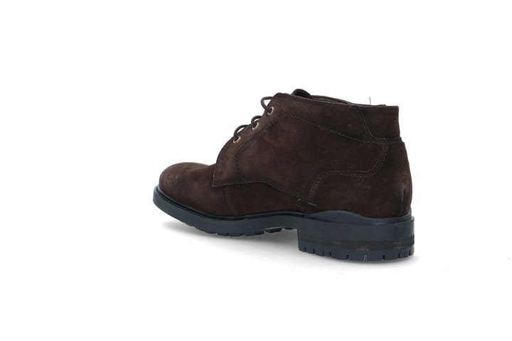 LLOYD 2225 Dk Brown LLOYD