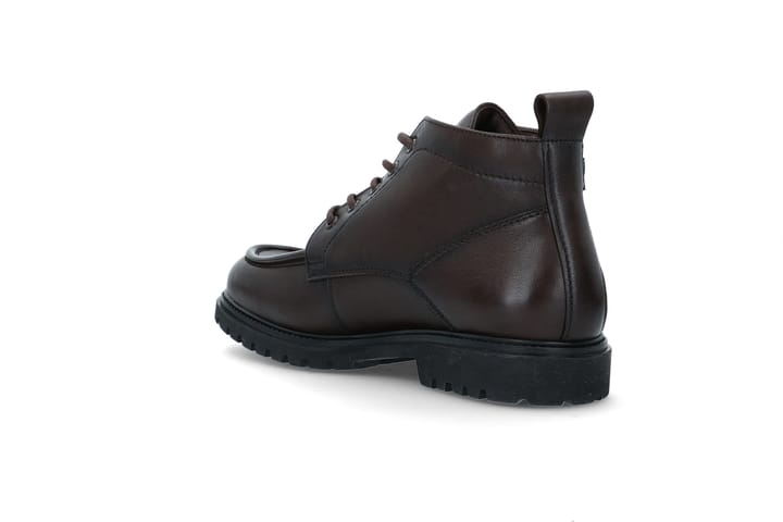 LLOYD 2225 Dk Brown LLOYD