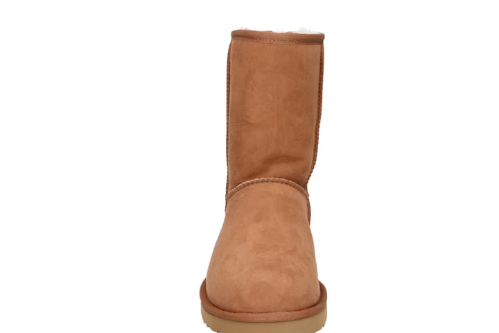 UGG 6330 Chestnut UGG