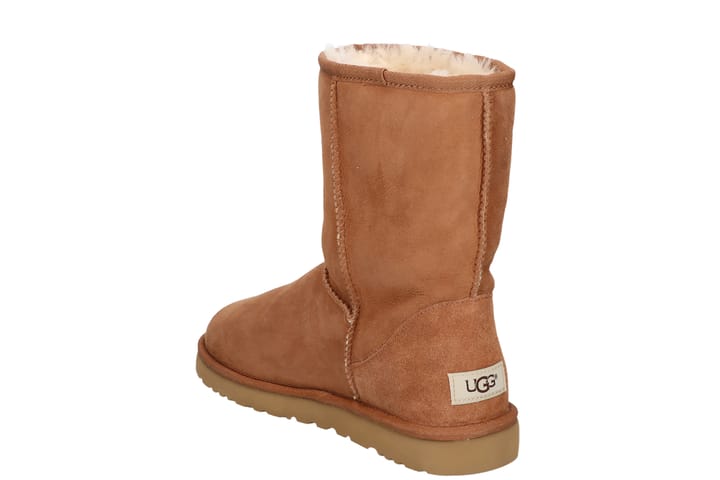 UGG 6330 Chestnut UGG