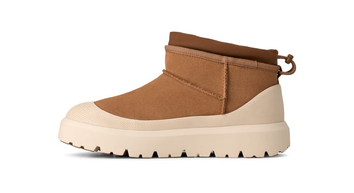 UGG 2275 Mustard Seed/S UGG