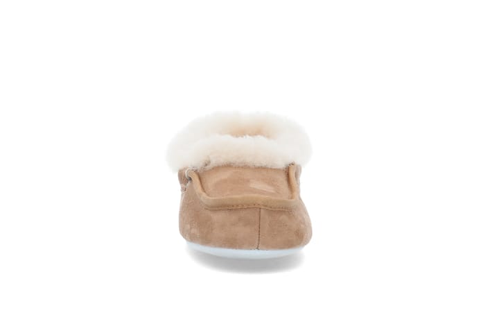 SHEPHERD 2725 Chestnut SHEPHERD SHEPHERD 2725 Chestnut SHEPHERD