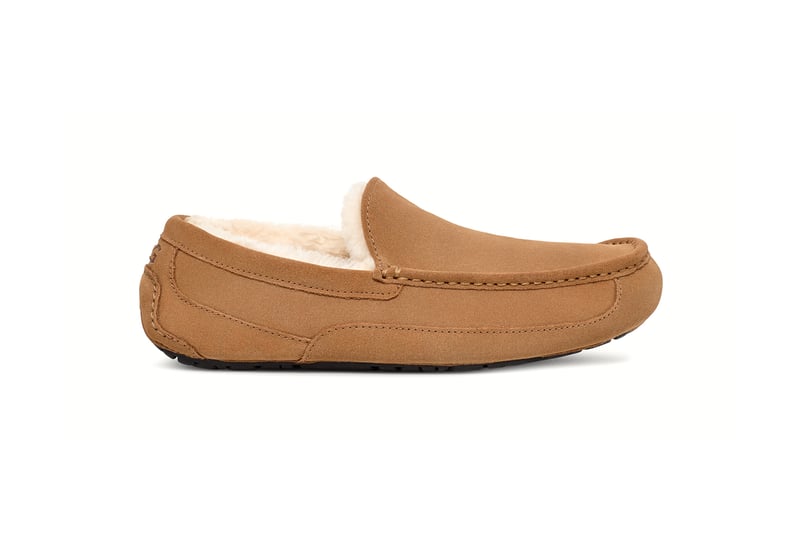 M Ascot UGG M Ascot UGG