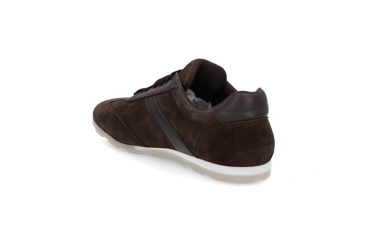 RALPH LAUREN 0526 Chocolate Brown RALPH LAUREN