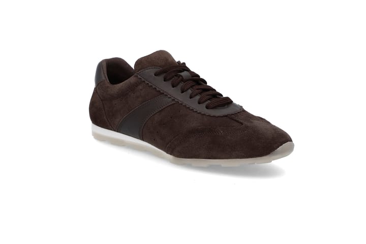 RALPH LAUREN 0526 Chocolate Brown RALPH LAUREN