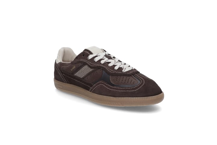 Tb. 490 ALOHAS Tb. 490 ALOHAS