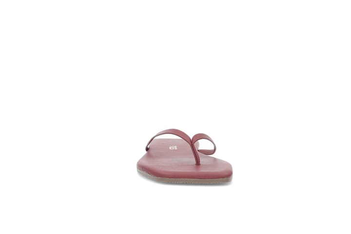 Squere Toe Lily Squere Toe Lily