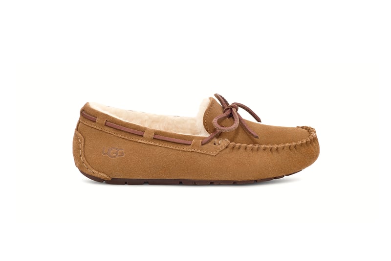 UGG DAKOTA - Šlepetės - chestnut/konjako - Zalando.lt