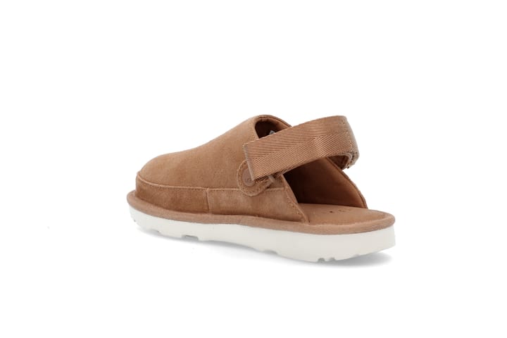 UGG 7126 Chestnut UGG