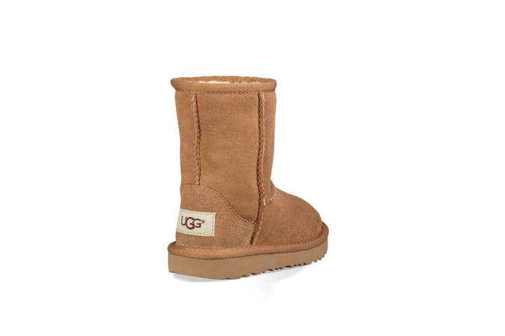 UGG 6951 Chestnut UGG